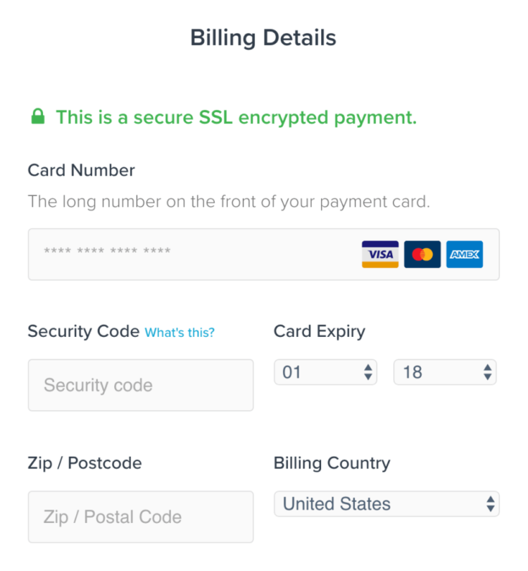 Example of a checkout with well-known payment logos and an SSL assurance