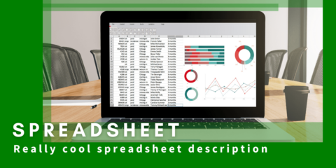 Photo: a spreadsheet displayed on a laptop