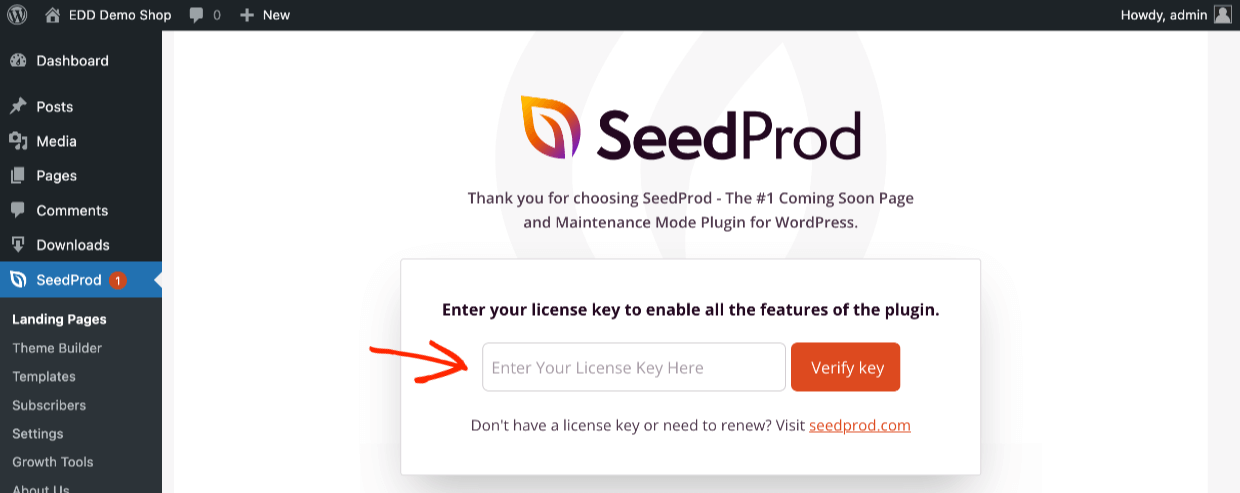 Screenshot: SeedProd activation
