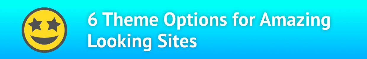 Headline: Theme Options for Amazing Looking Sites