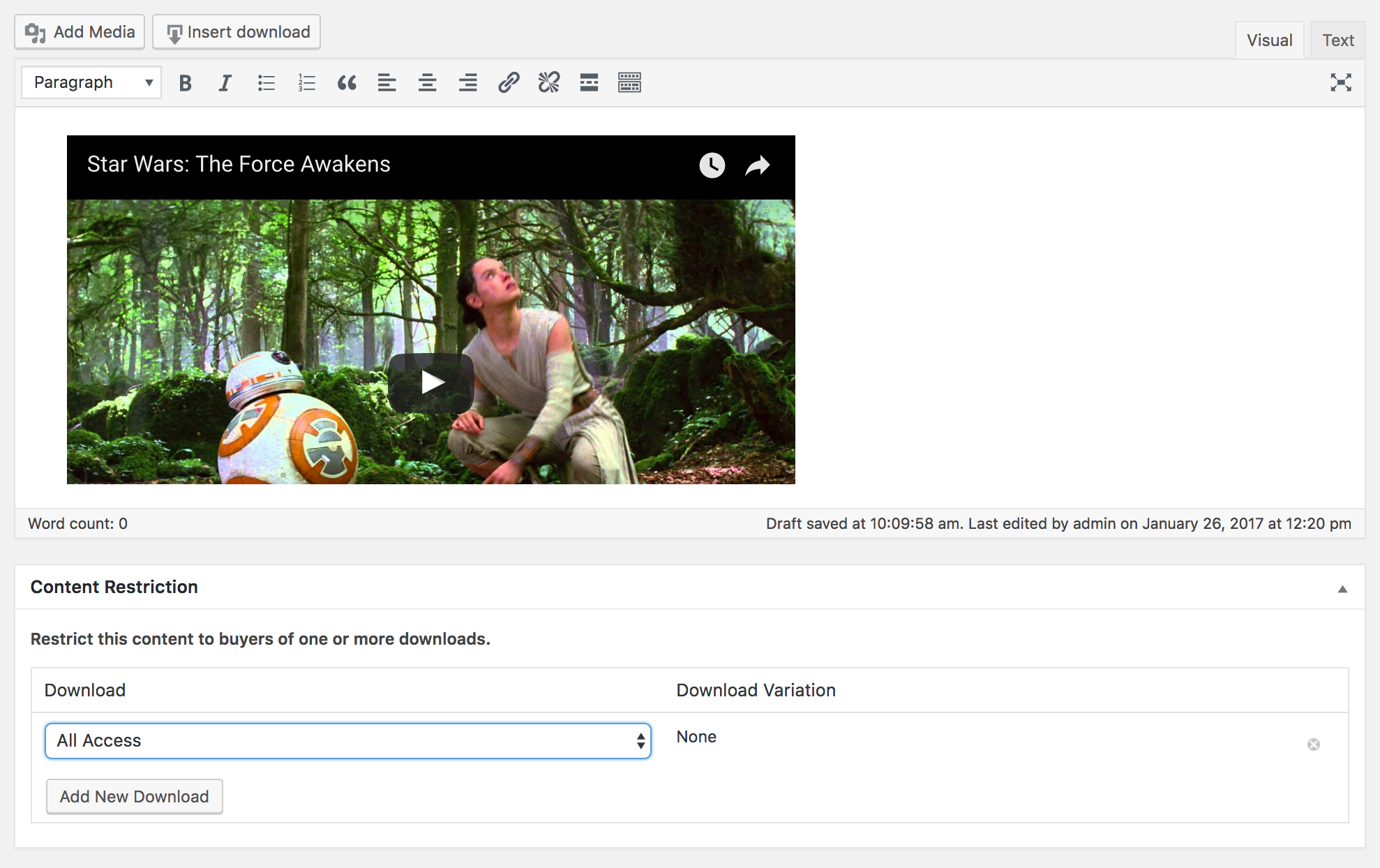 Example Video Rental by Disney's WordPress