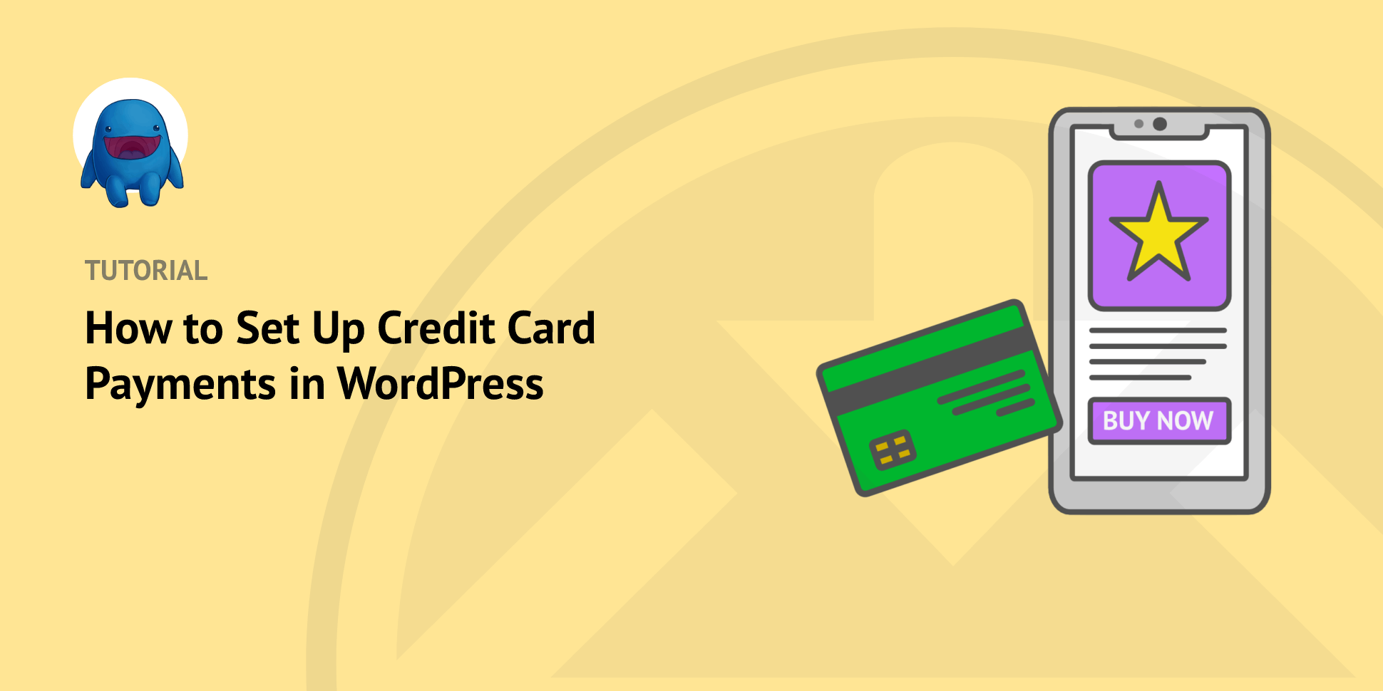 How to Set Up Credit Card Payments in WordPress