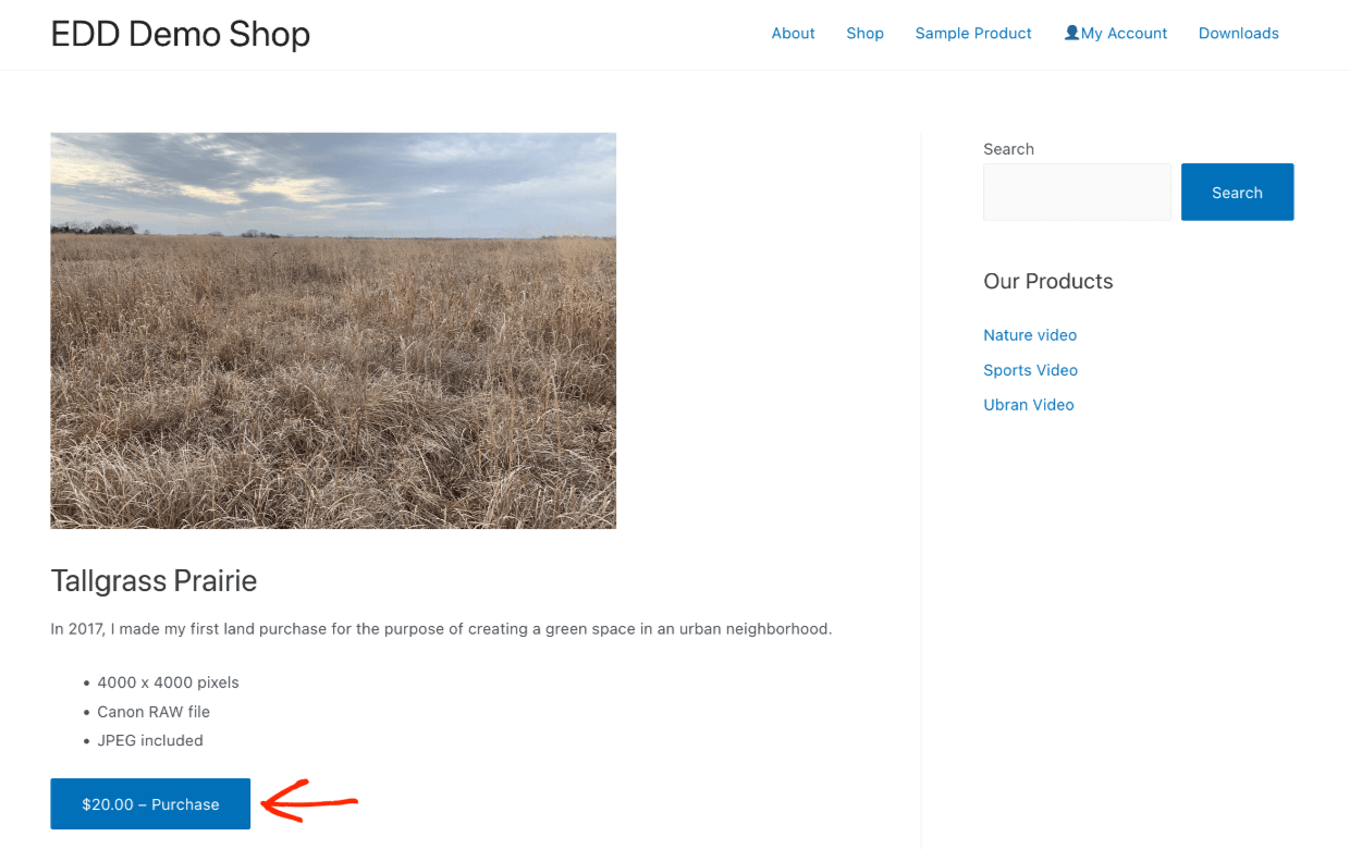 Screenshot: Selling Photos: Frontend Download Page