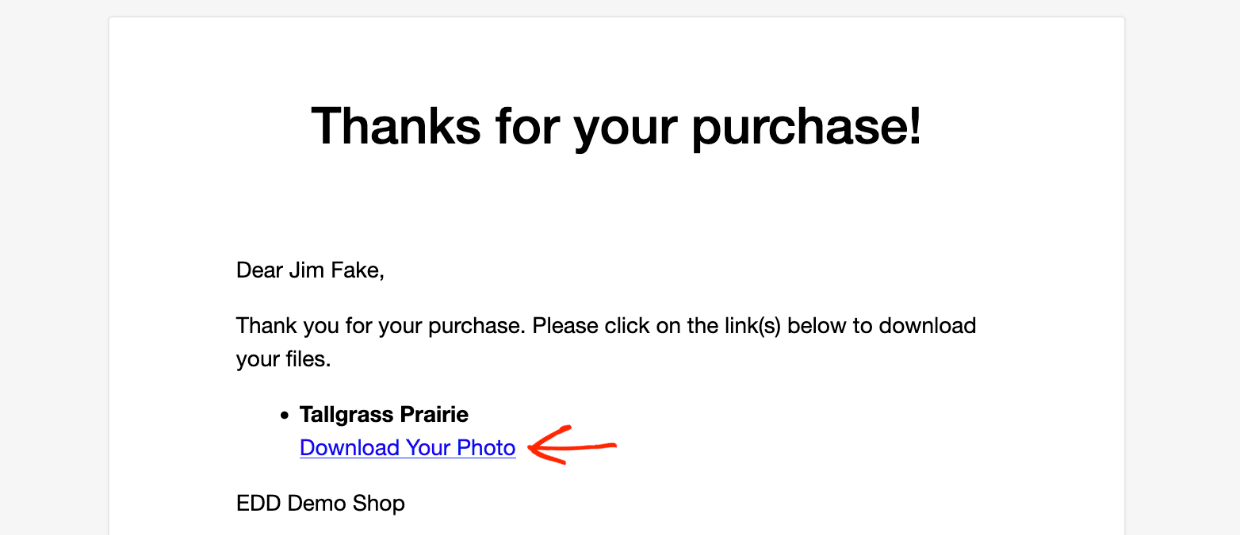 Screenshot: Selling Photos: Purchase Receipt Email