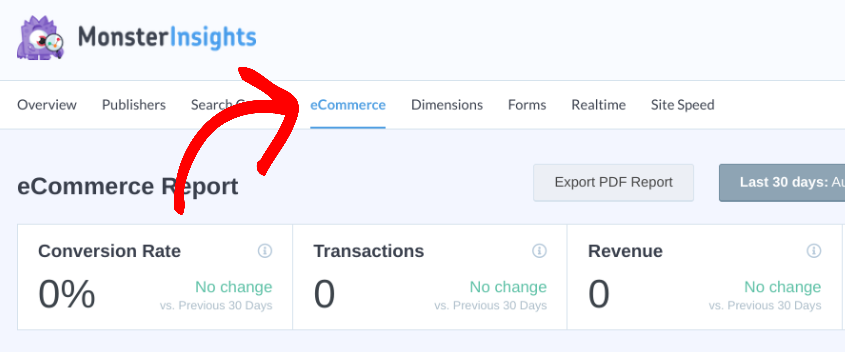 The MonsterInsights eCommerce report.