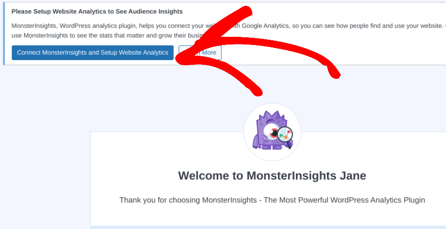 The button to connect MonsterInsights and setup website analytics in WordPress.