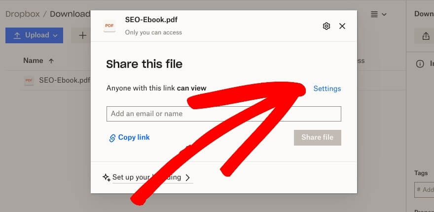 The Share this file settings in Dropbox.