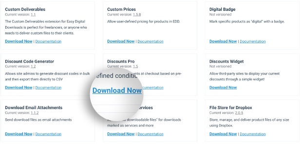 The option to Download the Discounts Pro, the coupons and discount codes WordPress extension.