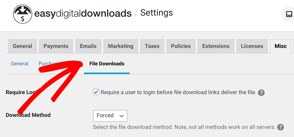 The page to manage File Downloads in WordPress settings.
