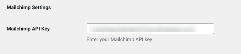 The Mailchimp API Key text field.