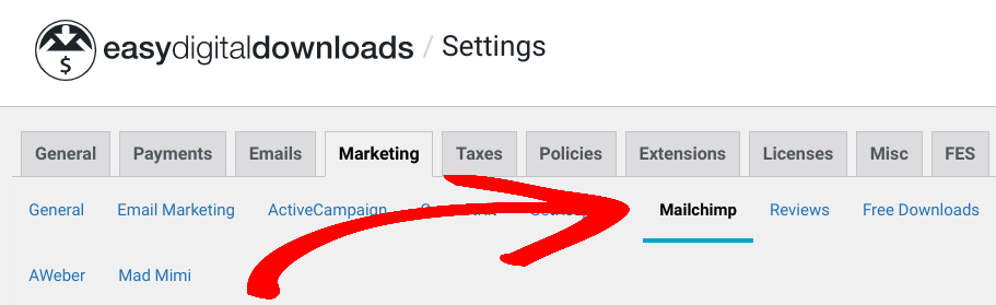 The Mailchimp extension settings.