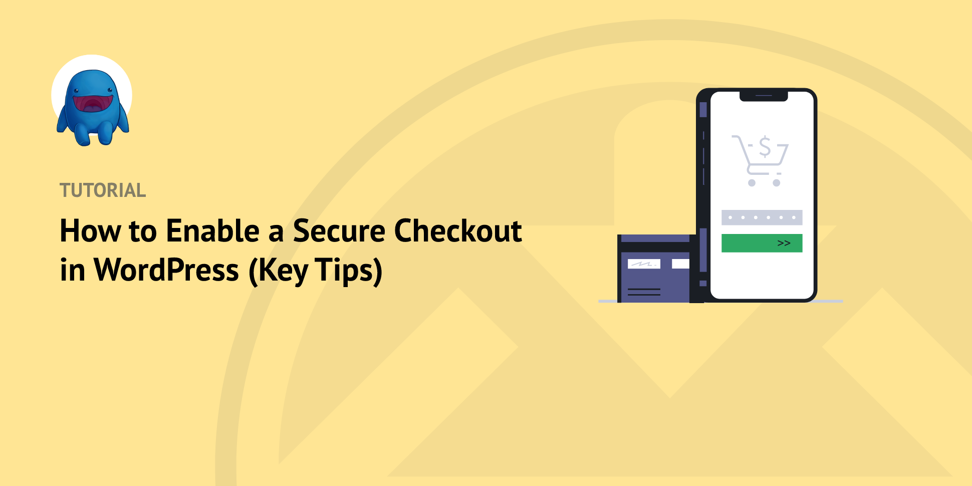 How to Enable Secure Checkout WordPress Processes