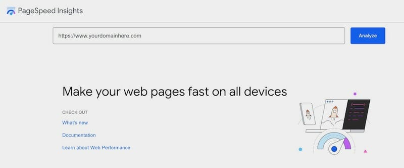 The Google PageSpeed Insights website. 