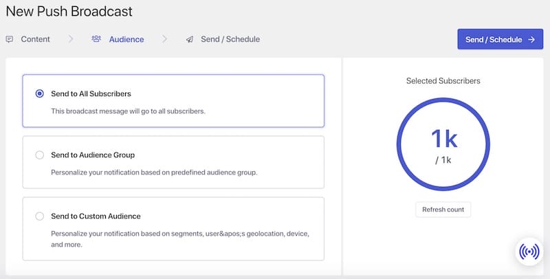 PushEngage options to select audience to send push notifications to in WordPress.