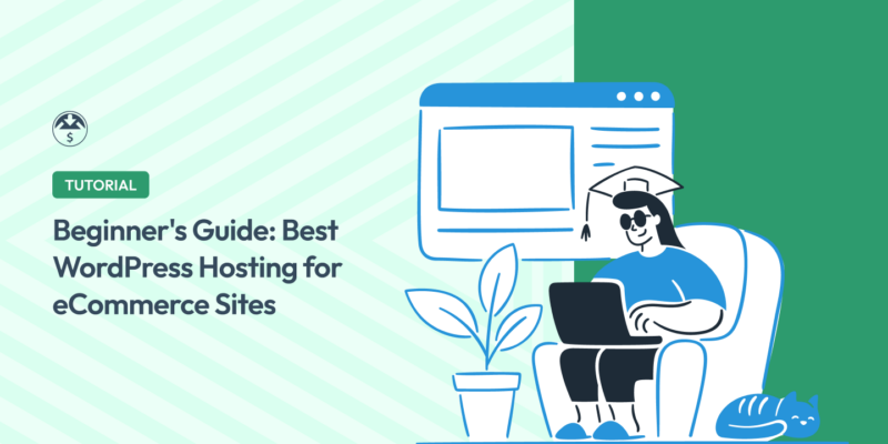 Best WordPress Hosting for eCommerce Sites