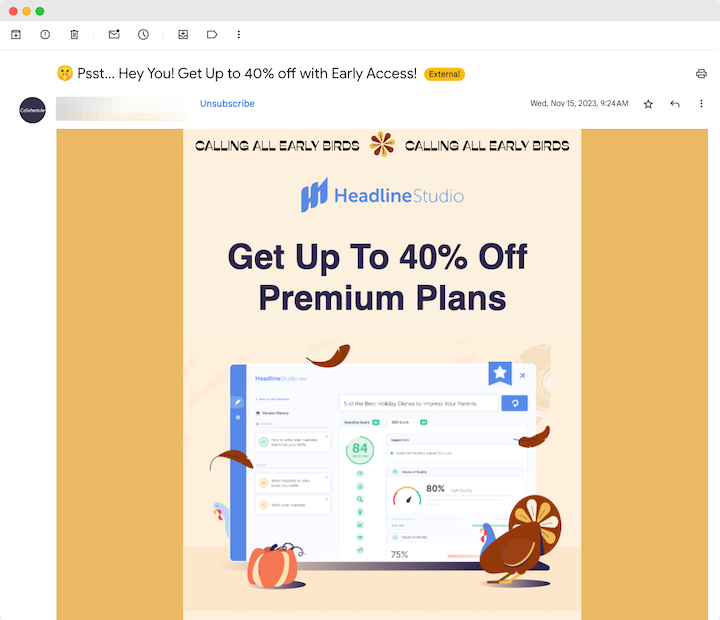 A Black Friday sale email campaign.