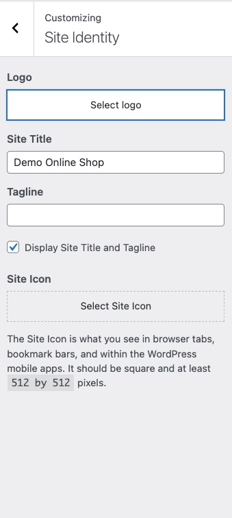 The Site Identity settings in WordPress Customizer.