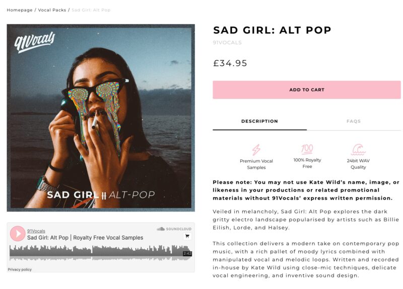 Ejemplo de descripción de producto digital en un sitio web de WordPress que utiliza voz estratégica para atraer a los clientes.